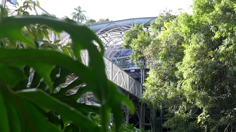 View of Opera de Arame theater architecture framed by tropical green foliage in  動画素材 277463919