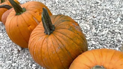 View of the orange lubu Stock Footage 236442203