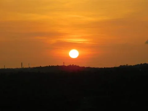 View of orange sun set over dark plants Foto stock