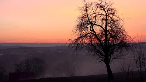 View of orange sunset light timelapse on village misty fog motion empty tree day Stock Footage 81973109
