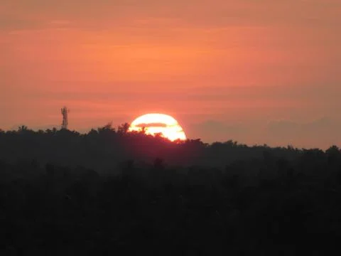 View of orange sunset over the dark plants Stock Photos