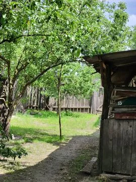 View of the orchard through fruit tree branches, private garden plot Stock Photos
