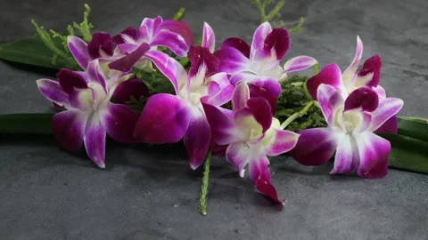 The view of the orchid flowers Stock Footage 233242701