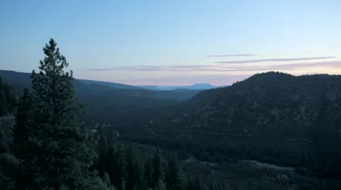 View of Oregon forest, sunset Stock Footage 49099838