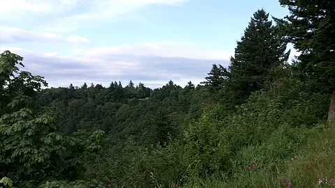 View from the Oregon side of the Columbia River Stock Footage 99118441