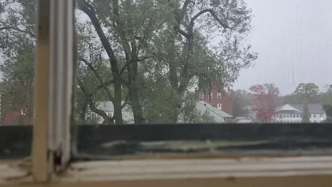 View Out of Apartment Window of Tree Swaying in the Wind Stock Footage 253673758