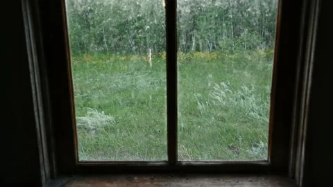 View out a dirty window in an abandoned building.  Stock Footage 139691833