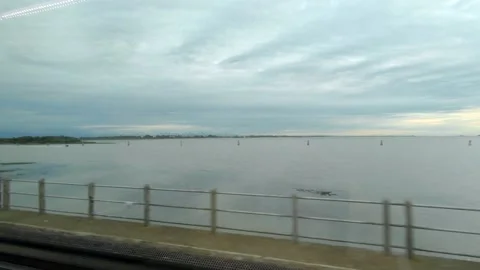 View out to floating plants &amp; islands from moving Train window. Venice / Italy. Stock Footage 130984103