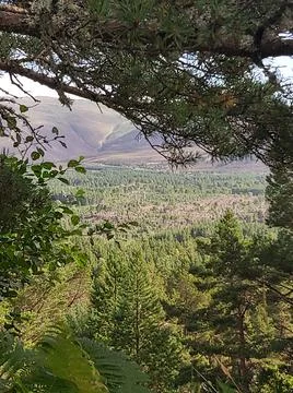 View out from high up in the Cairngorms Stock Photos