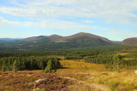 View out from high up in the Cairngorms Stock Photos