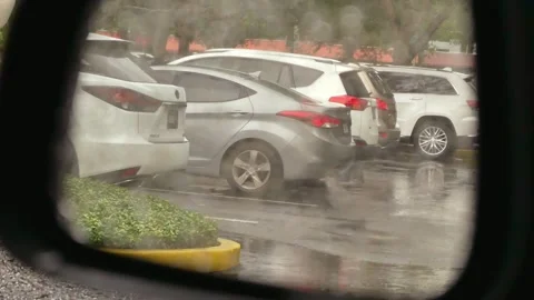 View out the passenger side window with green grass into the wet side mirror is Stock Footage 276173692