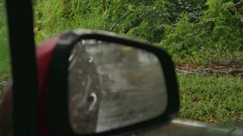 View out the passenger side window with green grass in the background in focus. Stock Footage 276173842