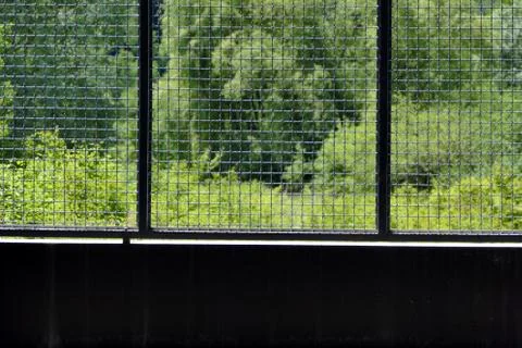 View out of prison Stock Photos