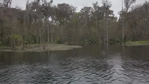 View out side of boat right to left at Silver Springs FLORIDA, Stock Footage 256047352