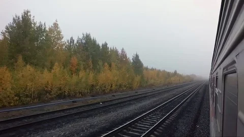 View outside. the train of 2 railway and autumn forest Stock Footage 100920587