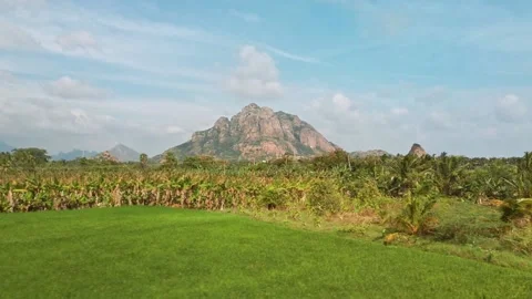 View outside train going to Nagercoil Junction railway station. Stock Footage 142943209