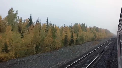 View outside. the train of railway and autumn forest Stock Footage 100920596