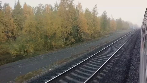 View outside of the train of railway and autumn forest  Stock Footage 100920662