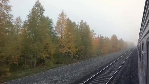 View outside of the train of railway and autumn forest Stock Footage 100920668