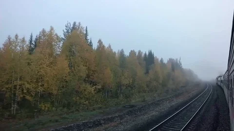 View outside. the train turn left of railway and autumn forest Stock Footage 100920661