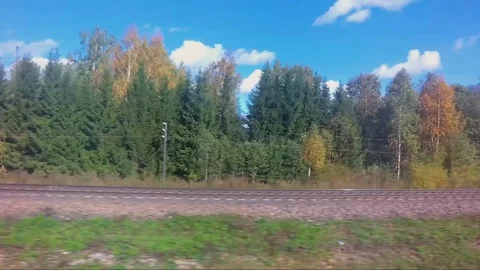 View outside. the train turn left of railway and autumn forest Stock Footage 100920704