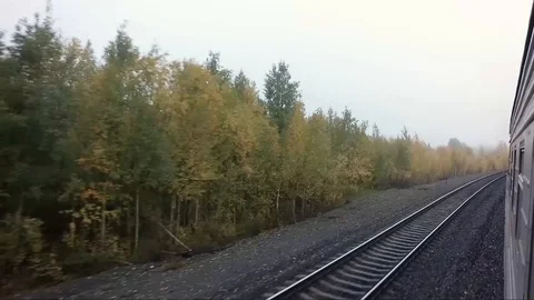 View outside. the train turn right of railway and autumn forest Stock Footage 100920602