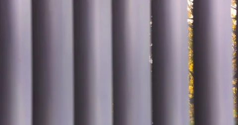 A view outside the window + closing the vertical blinds Stock Footage 98479316