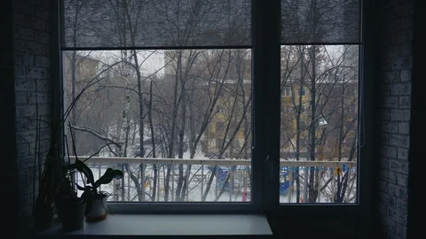 View outside the window. Winter day in Moscow. Bare Branches of Tree. 스톡 동영상 103674990