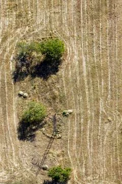 View over the agricultural fields Stock Photos