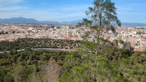 View over Alicante from the Castle Stock Footage 306242520