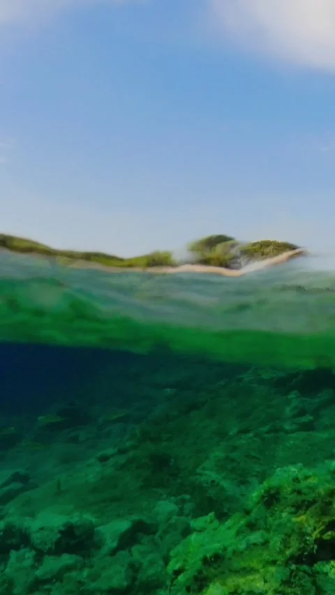 View over and under the water surface near the cost in the Adriatic sea, Cr.. Stock Footage 276843366