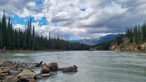 View over Athabasca River flowing from nearby Athabasca Falls, Jasper Nationa Stock Photos