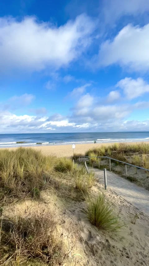View over the Baltic Sea coast, Seascape with dunes Stock Footage 297612981