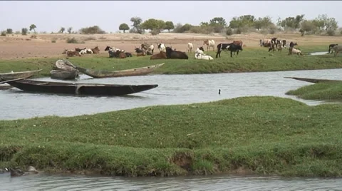 View over Bani river Stock Footage 2669204