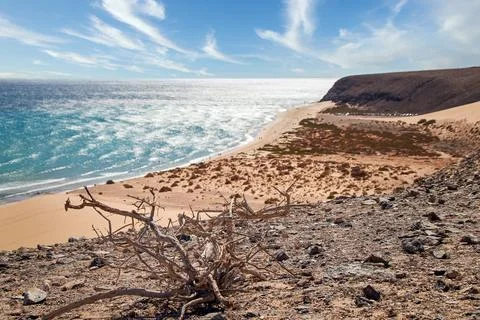 View over blurred wide bathing bay in background on Canary Islands with dry.. Foto stock