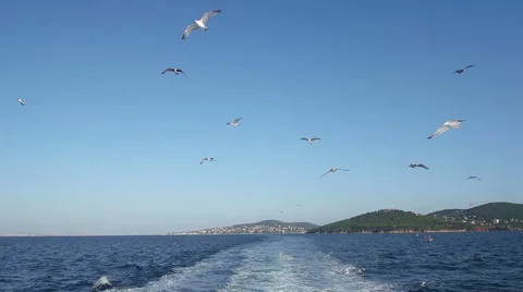 A view over the boats deck Stock Footage 53834924