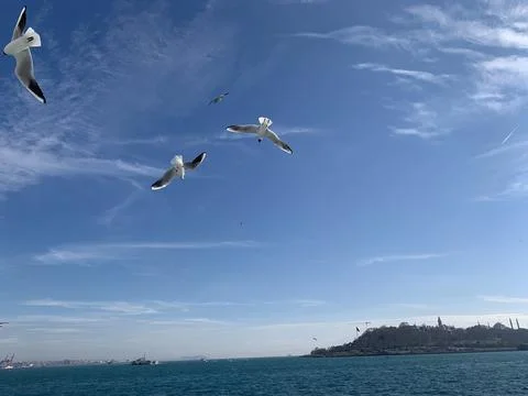 View over Bosphorus strait Stock Photos