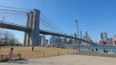 View over Brooklyn Bridge from Brooklyn Bridge Park - NEW YORK, USA - FEBRUARY Video stock 234096343