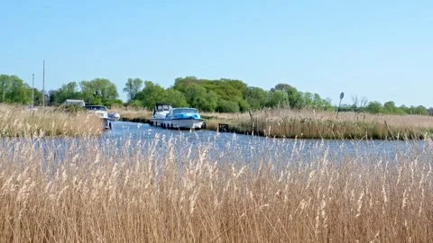 View over the Bure River in Upton marshes, Norfolk Broads Stock-Footage 273138838