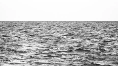 View over calm sea or ocean with beautiful evening sun reflection. Black and Stock Footage 159447071