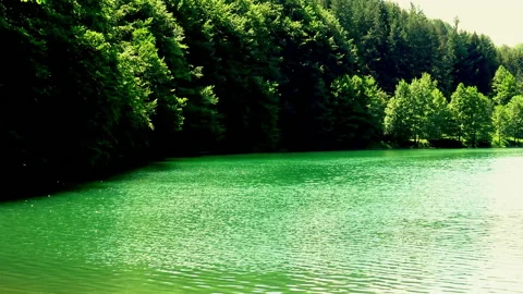 A view over calm waters of mountain lake Vídeo Stock 145284020