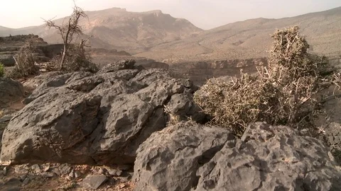 View over a canyon Stock Footage 73667043