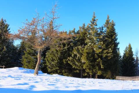 View Over The Clouds Stock Photos