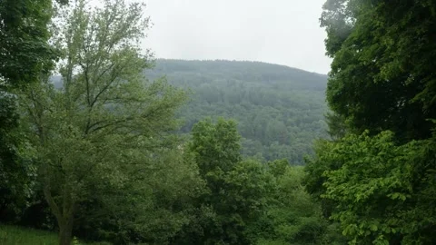 View Over a Cloudy Forest Stock Footage 171242756