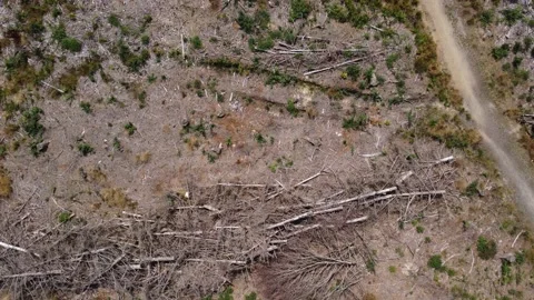 View over a deforestet area 스톡 동영상 202203225