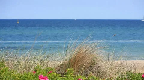 View over the dune grass on the German Baltic coast in Heiligendamm Stock Footage 11134587
