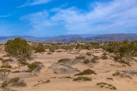 View Over The Dunes Of Maspalomas Stock Photos