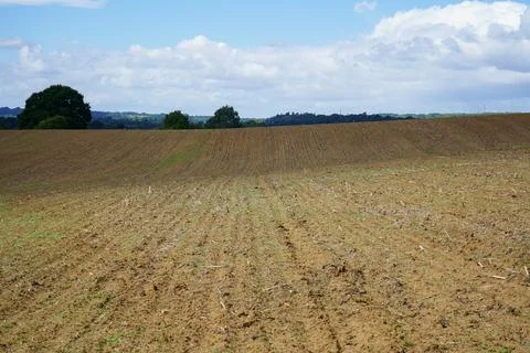View over a farm field in the spring 库存照片