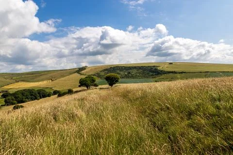 A view over fields in the South Downs, with a blue sky overhead Stock Photos