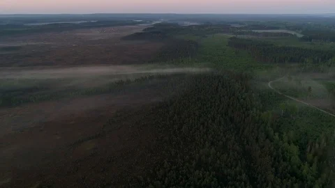 View over forest and fields Stock Footage 90724350